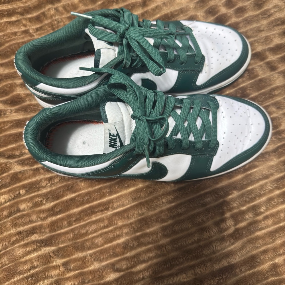 Michigan State Nike Dunks